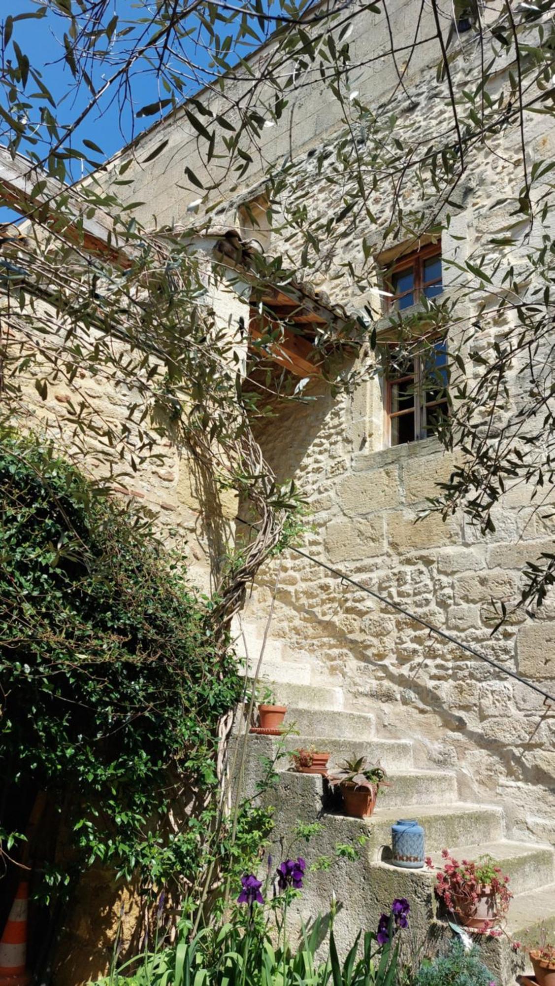 Appartement Le Petit DoMeynes Extérieur photo